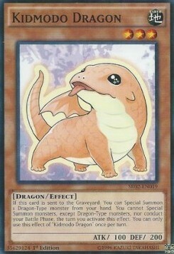 Kidmodo Dragon Card Front