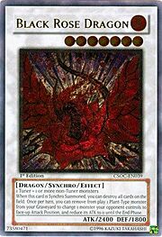 Black Rose Dragon