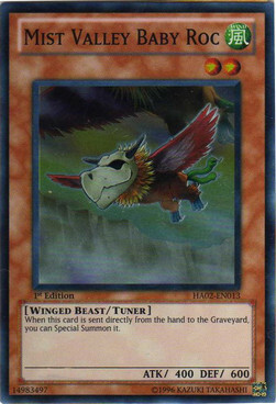 Mist Valley Baby Roc Card Front