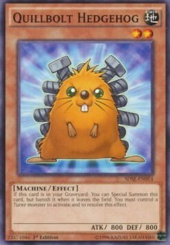 Quillbolt Hedgehog Card Front