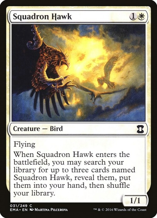 Squadron Hawk Card Front