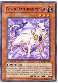 Crystal Beast Amethyst Cat Card Front