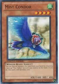 Mist Condor Card Front