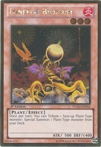 Lonefire Blossom Card Front