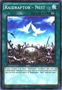 Raidraptor - Nest Card Front