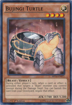 Bujingi Turtle Card Front