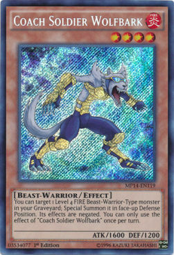 Coach Soldier Wolfbark Card Front