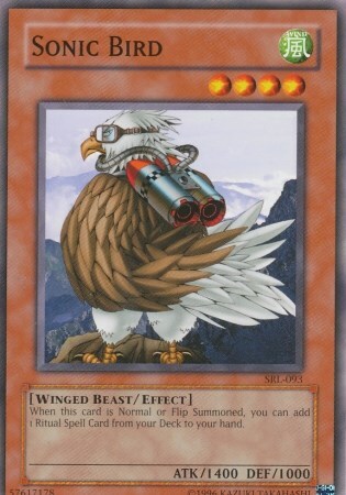 Sonic Bird Card Front