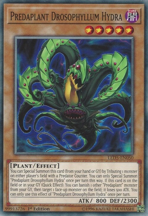 Predaplant Drosophyllum Hydra Card Front