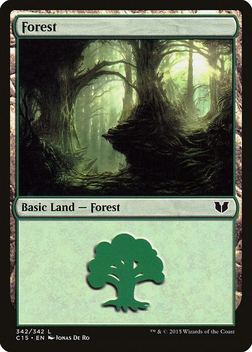 Forest Card Front