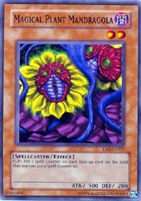 Magical Plant Mandragola Card Front