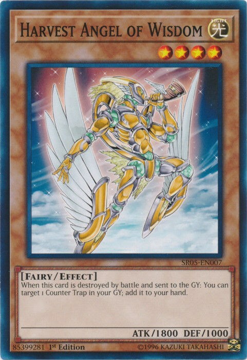 Harvest Angel of Wisdom Card Front