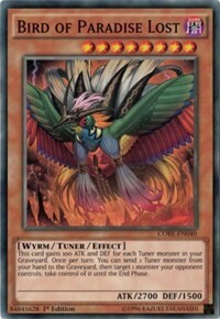 Bird of Paradise Lost Card Front